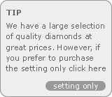 Diamond Ring Setting